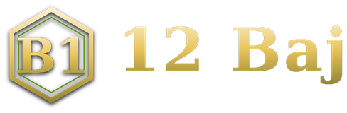 12 Baj logo